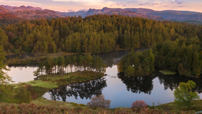 Early morning view across a lake surrounded by trees, with pink-tinged mountain peaks in the distance